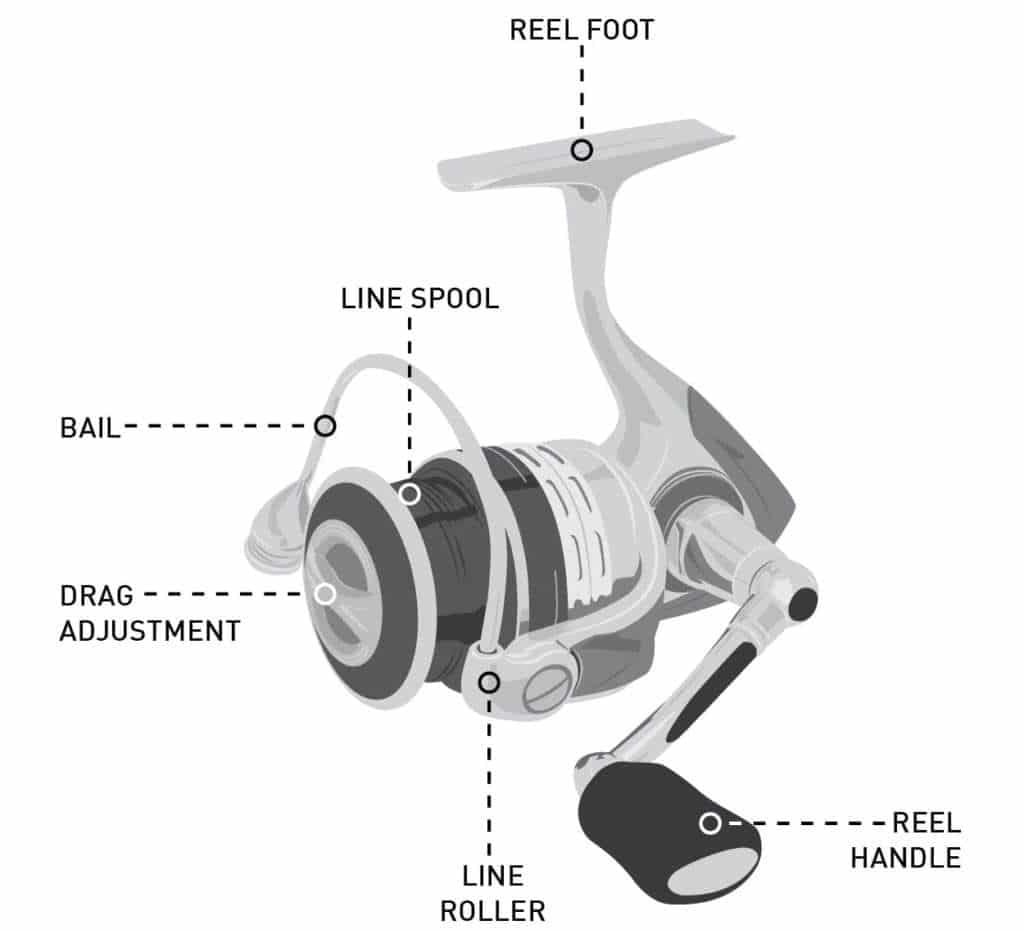 The Best Spinning Reels Under 100 In 2024