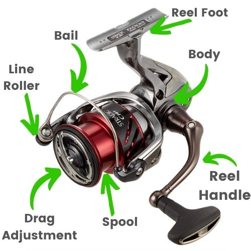 What Fishing Reel Type Do You Need? | Lets Go Bass Fishing