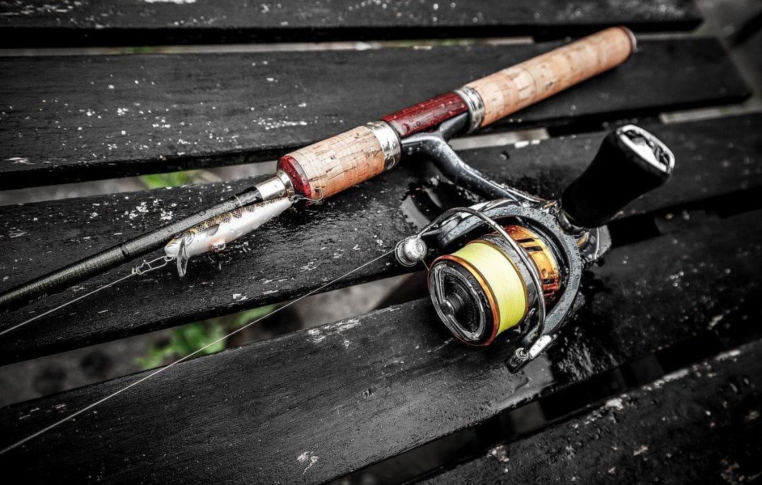 Showdown Of The 4 Best Spinning Reels for Bass